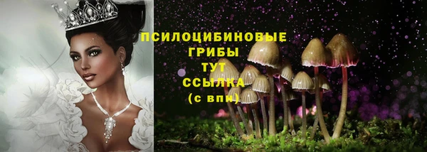 меф Ахтубинск